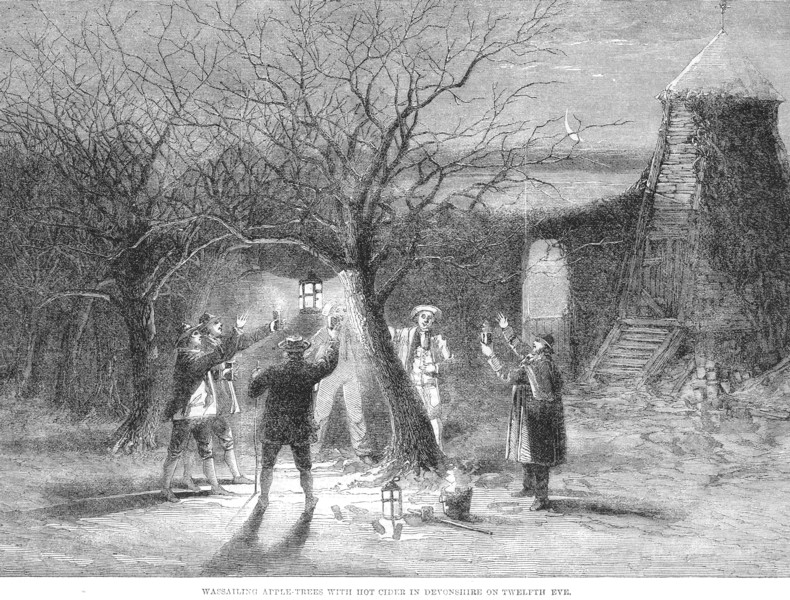Wassailing the Apple Tree